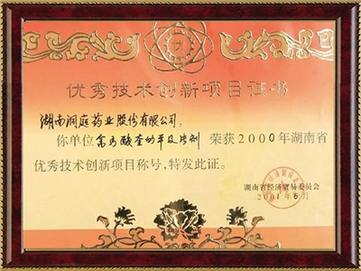 湖南省優秀技術創新項目